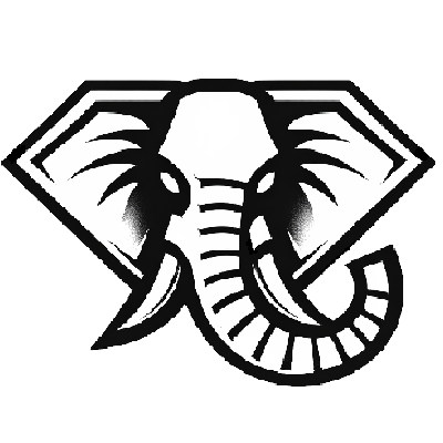 ELEOS Image
